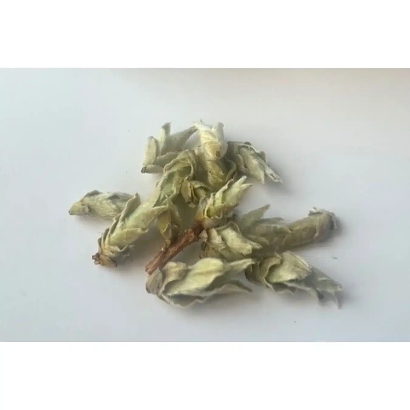 ARTHIÉ – Thé blanc bourgeons de Chine – Image 3