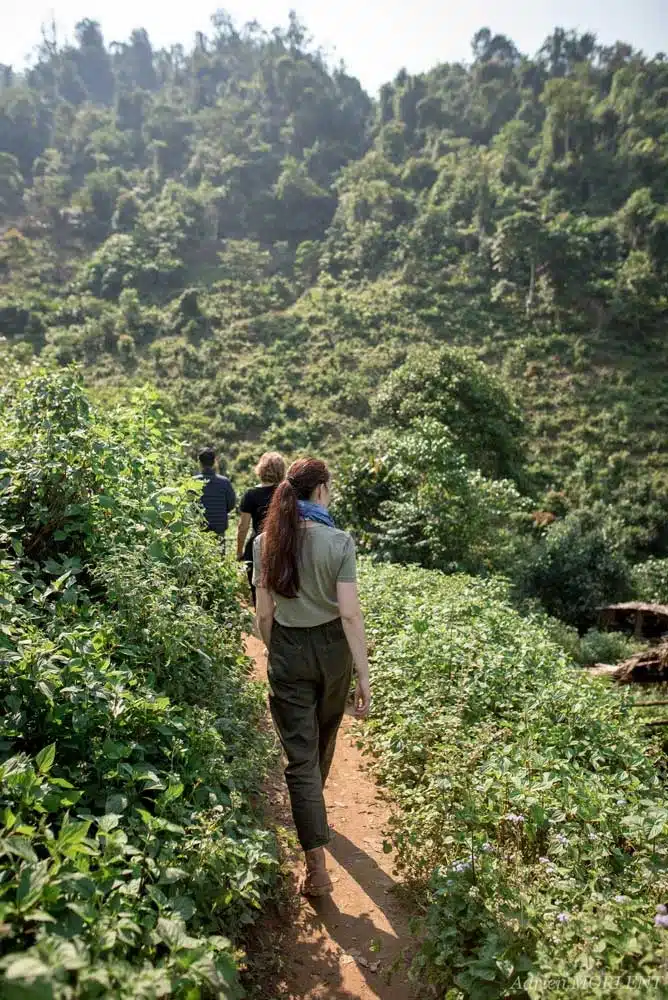Élise Michel parmi les théiers au Vietnam