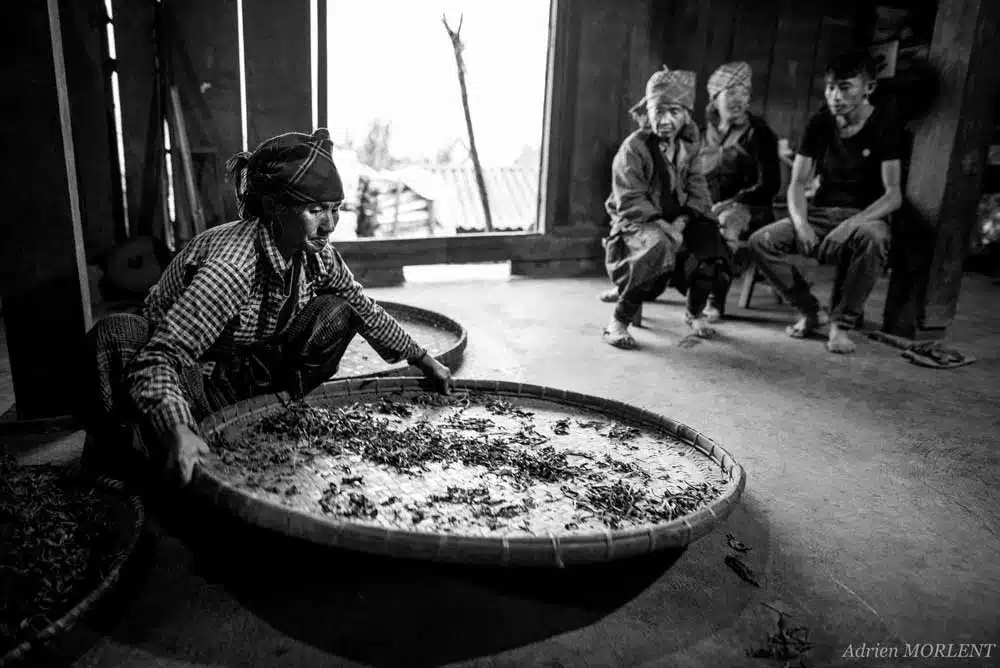 Le travail des feuilles de thé dans un atelier au Vietnam