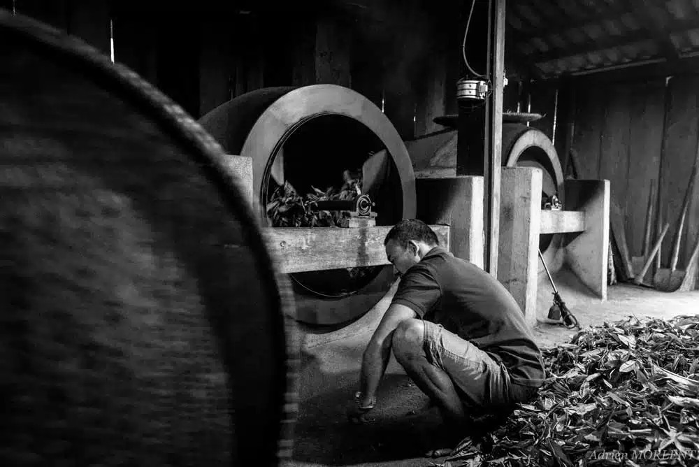 Transformation du thé dans un atelier au Vietnam